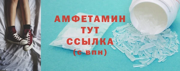 ПСИЛОЦИБИНОВЫЕ ГРИБЫ Няндома