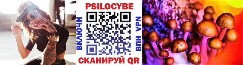 Галлюциногенные грибы Cubensis  KRAKEN зеркало  Шиханы 